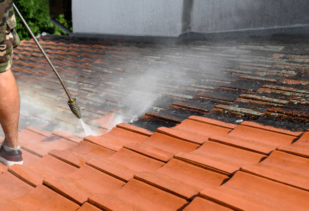 Best House Pressure Washing  in Lauderhill, FL